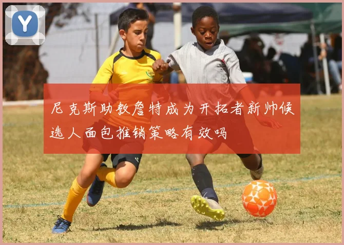 尼克斯助教詹特成为开拓者新帅候选人面包推销策略有效吗